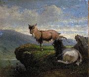 Chamois in the mountains, unknow artist